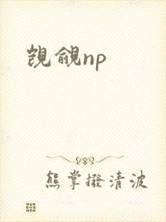 觊觎np