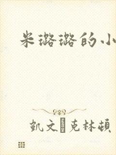 米璐璐的小说