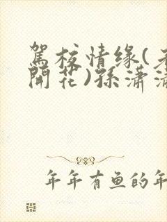 驾校情缘(老树开花)孙潇潇第一次趣笔阁