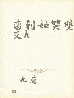 脔到她哭双根宫交h