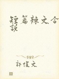 短篇辣文合集小说