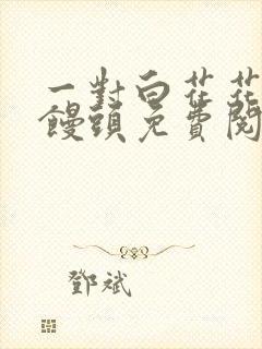 一对白花花的大馒头免费阅读