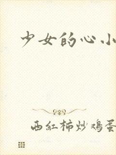 少女的心小说