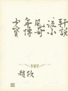 少年风流轩辕大宝传奇小说