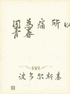 因为痛 所以叫青春