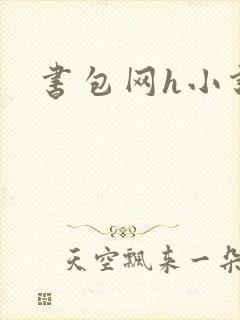 书包网h小说