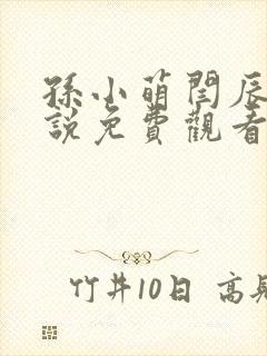 孙小萌闫辰的小说免费观看