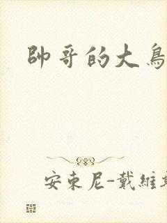 帅哥的大鸟