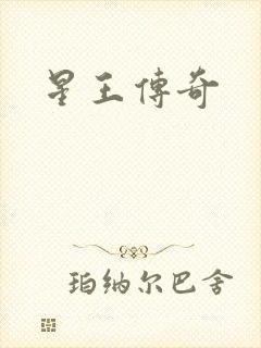 星王传奇
