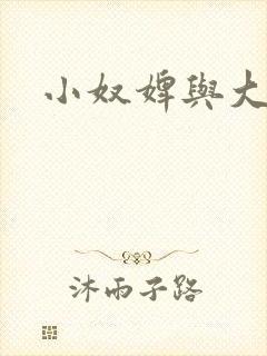 小奴婢与大少爷