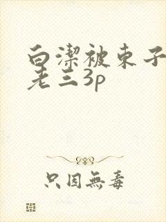 白洁被东子老二老三3p