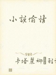 小说偷情