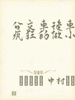 公交车后车座的疯狂的做小