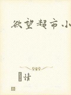 欲望超市小说