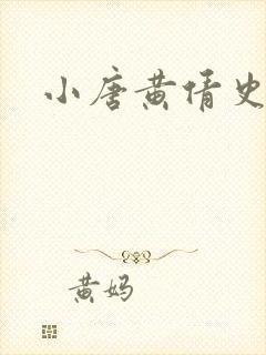 小唐黄倩史