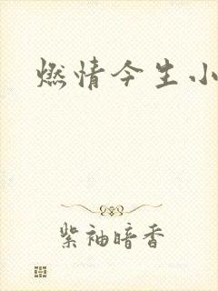 燃情今生小说