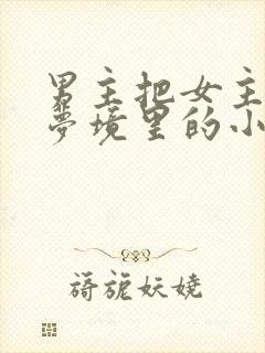 男主把女主拖进梦境里的小说