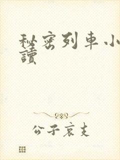 秘密列车小说阅读