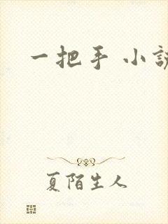 一把手 小说