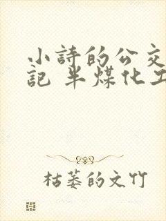 小诗的公交车日记 半煤化工