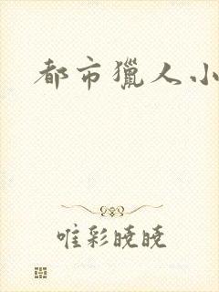 都市猎人小说