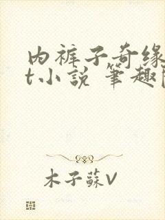 内裤子奇缘txt小说 笔趣阁