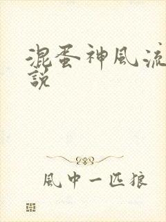 混蛋神风流史小说