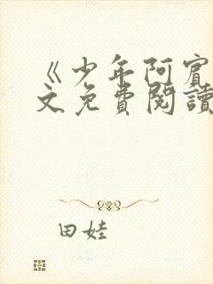 《少年阿宾》全文免费阅读