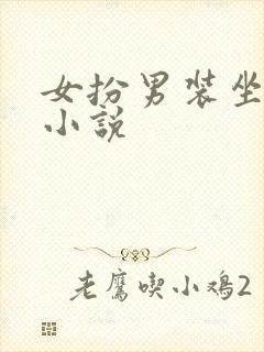 女扮男装坐江山小说