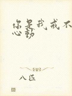 你是我戒不掉的心动