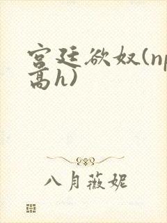 宫廷欲奴(np高h)