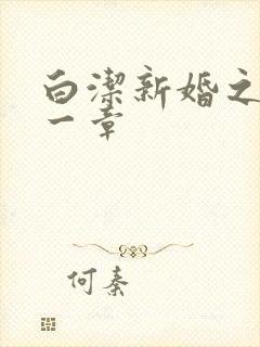 白洁新婚之夜第一章