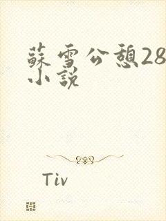 苏雪公憩28篇小说