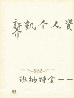 许凯个人资料简介