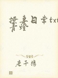 撩妻日常txt青灯