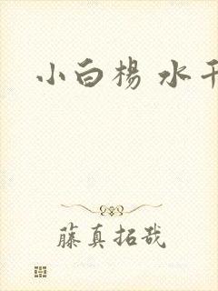 小白杨 水千丞