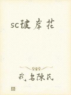 sc彼岸花