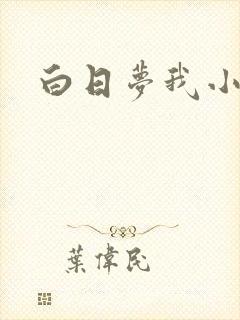 白日梦我小说