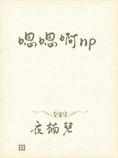 嗯嗯啊np