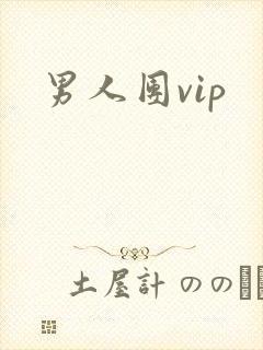 男人团vip