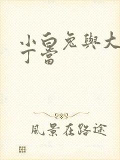 小白兔与大灰狼丁当