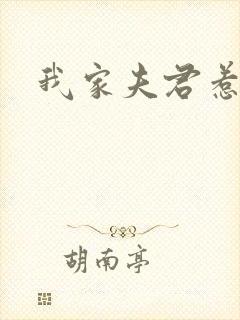 我家夫君惹不起