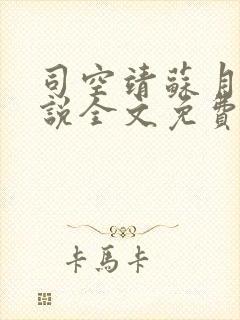 司空靖苏月汐小说全文免费阅读