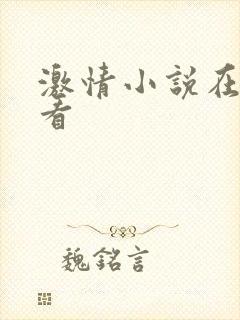 激情小说在线观看