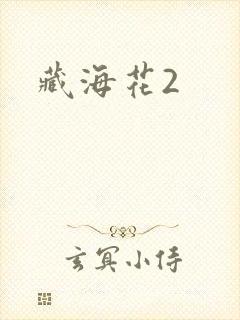 藏海花2