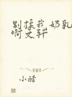 别揉我奶乳嗯～啊文轩