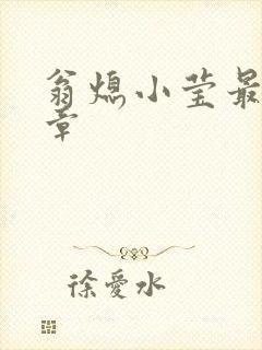 翁熄小莹最新节章