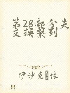 第28部分夫妇交换系列