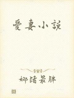 爱妻小说