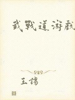 武战道游戏